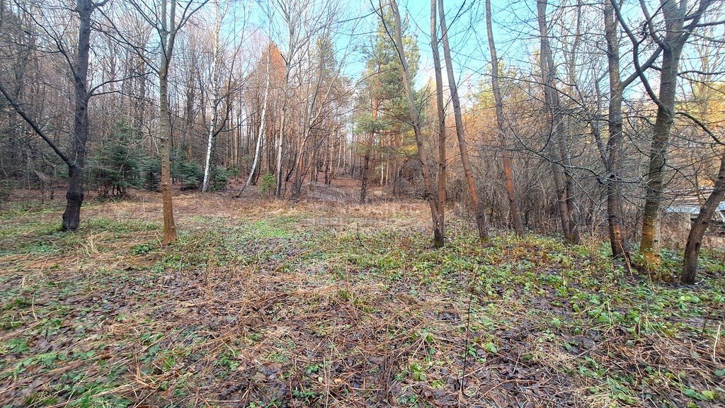 Działka leśna z prawem budowy na sprzedaż Grabnik  2 900m2 Foto 6