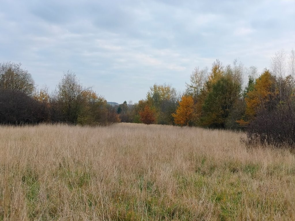 Działka budowlana na sprzedaż Kielce, Dąbrowa  860m2 Foto 4