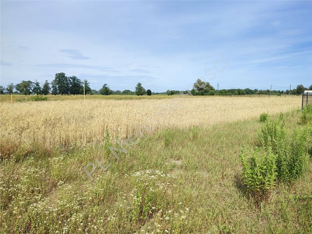 Sprzedam działkę 1500 m² w Wólce Grodziskiej z mediami Wólka Grodziska  1 500m2 Foto 1