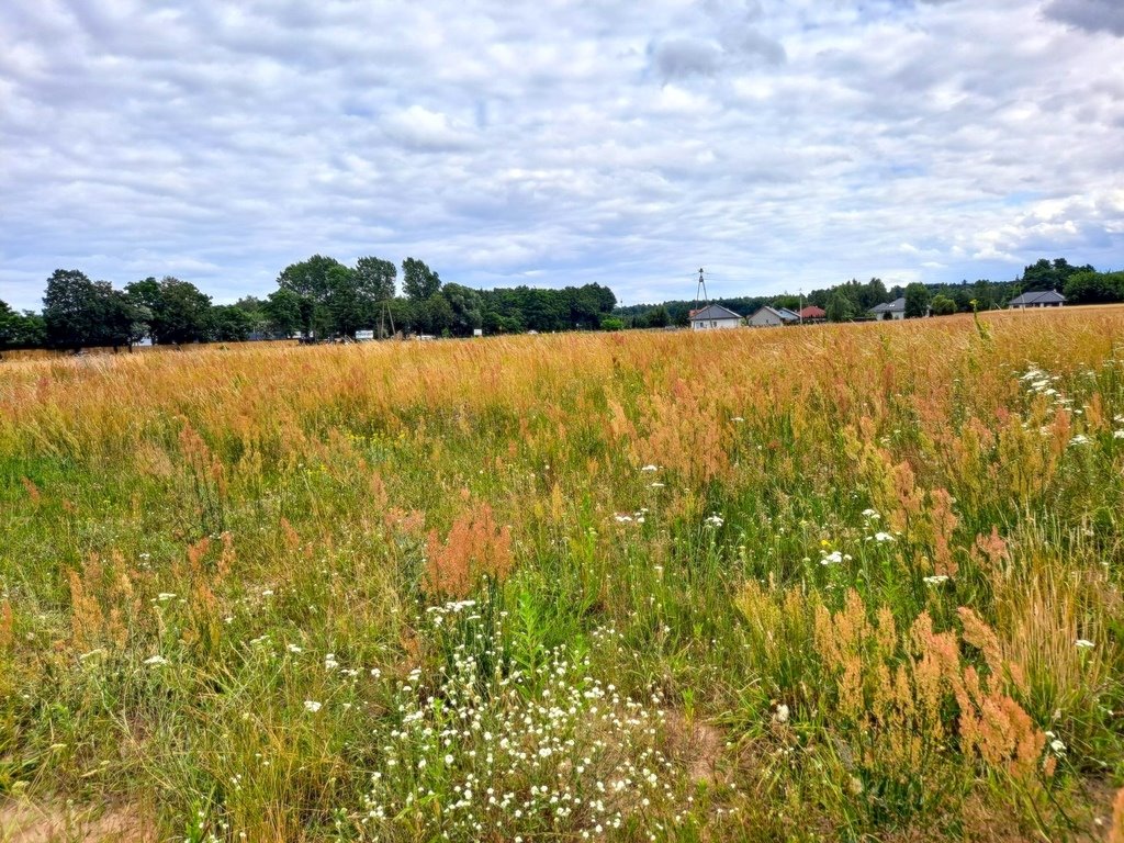 Działka budowlana na sprzedaż Obrzycko, Wesoła  840m2 Foto 4