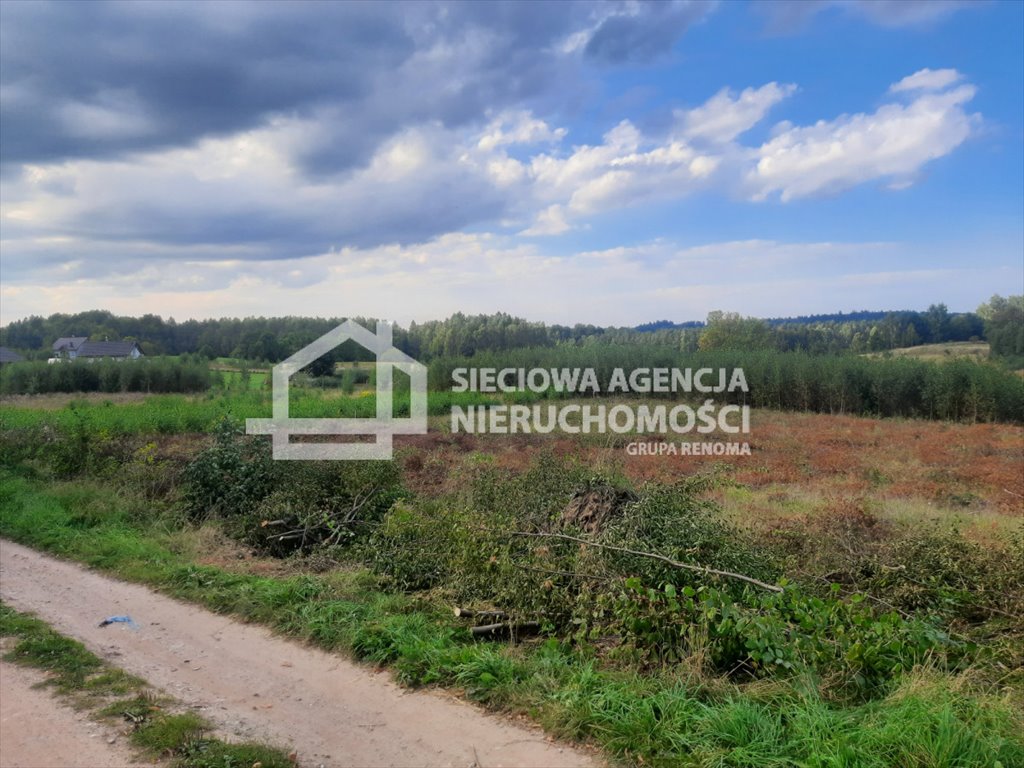 Działka budowlana na sprzedaż Rybaki  1 132m2 Foto 10