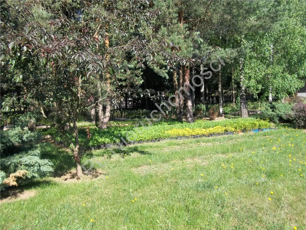 Działka budowlana 1405 m² z mediami i lasem w Żelechowie Żelechów  1 405m2 Foto 1