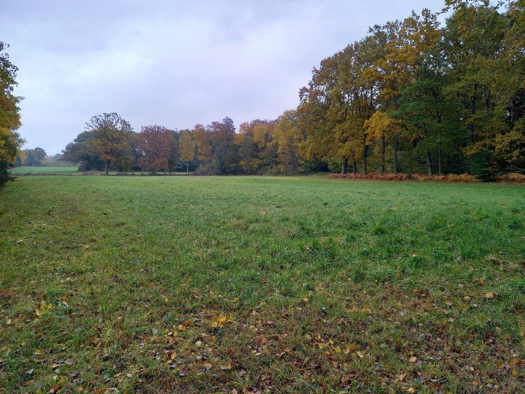 Działka inwestycyjna na sprzedaż Sarbsk  254 000m2 Foto 1