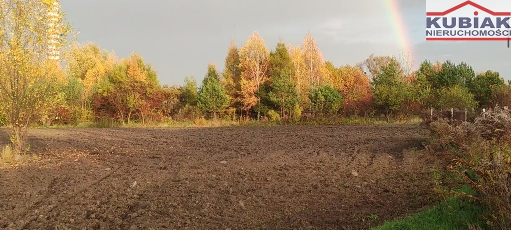 Działka budowlana na sprzedaż Koszajec  9 800m2 Foto 2