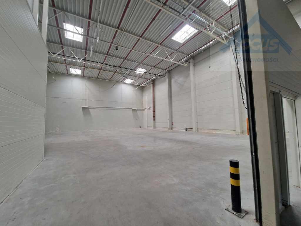 Magazyn na wynajem Ołtarzew  2 500m2 Foto 10