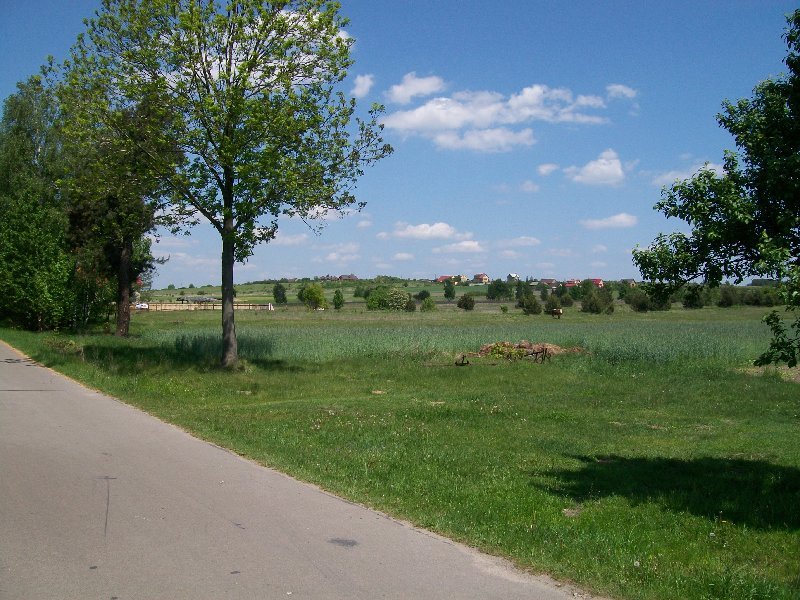 Działka inna na sprzedaż WRĘCZYCA WIELKA, Puszczew  2 643m2 Foto 1