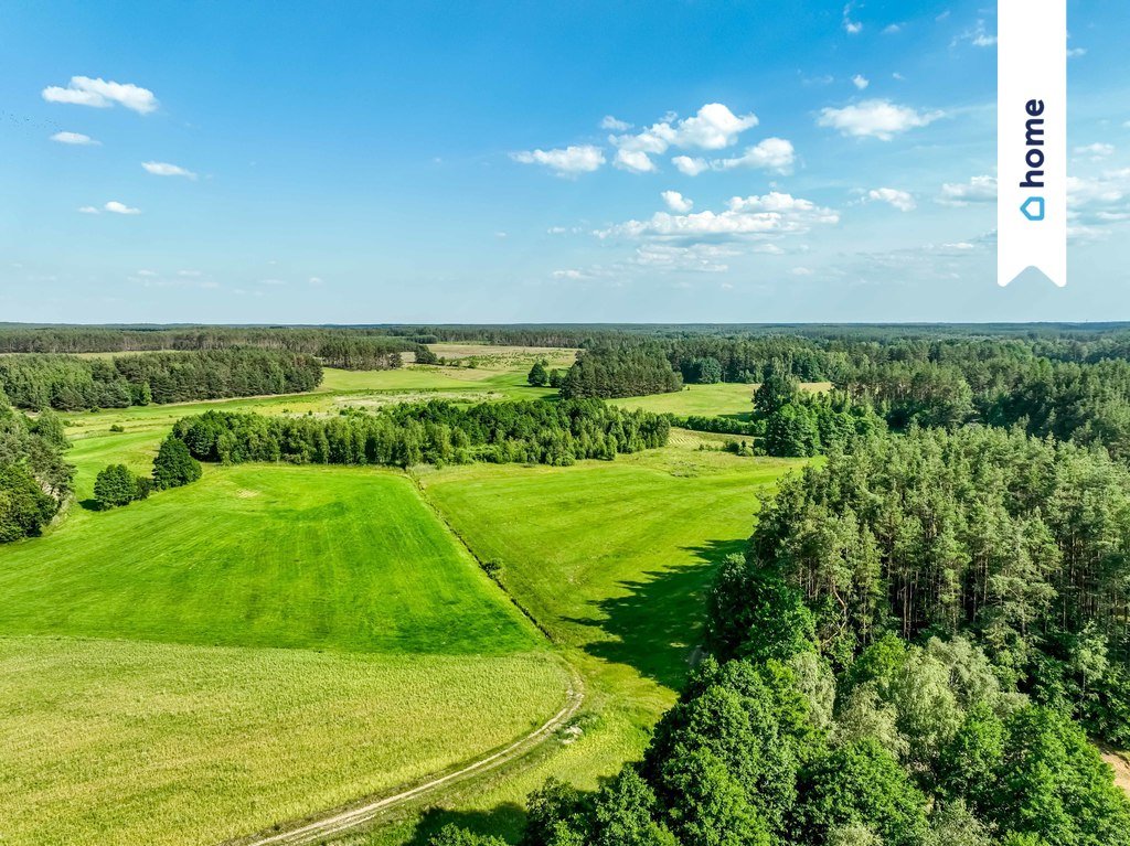 Działka budowlana na sprzedaż Łubiana, Leśna  1 000m2 Foto 10