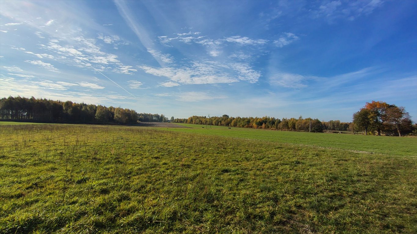 Działka budowlana na sprzedaż Brzozowica, Brzozowica  830m2 Foto 5