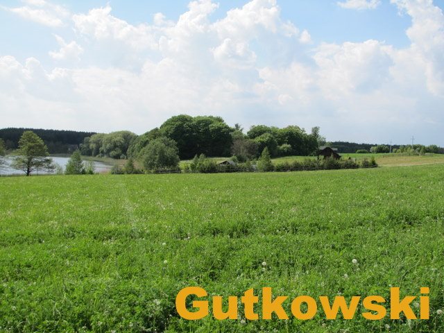 Działka rolna na sprzedaż Jamielnik, gmina Nowe Miasto Lubawskie  10 005m2 Foto 6