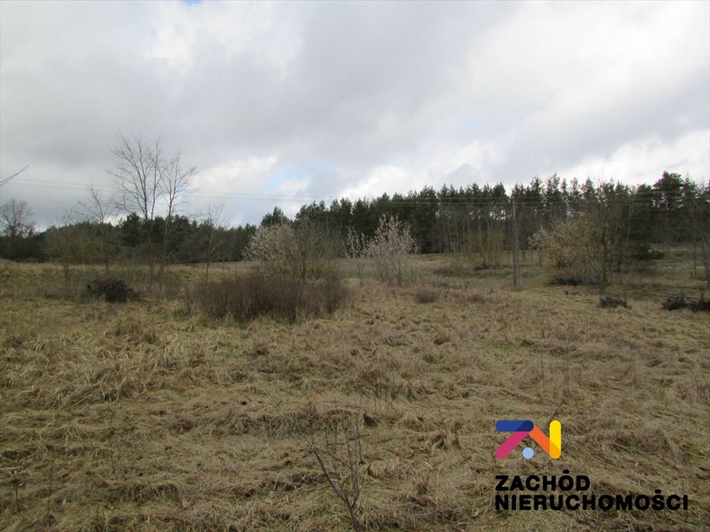 Duża działka pod zabudowę w Górzykowie – 4000 m2 Górzykowo  3 997m2 Foto 1