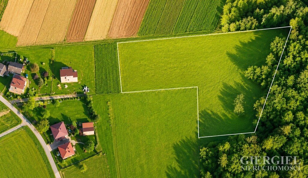 Widokowa działka 8,9 ha zalesiona pod zabudowę - polecam! Zabratówka  8 900m2 Foto 1