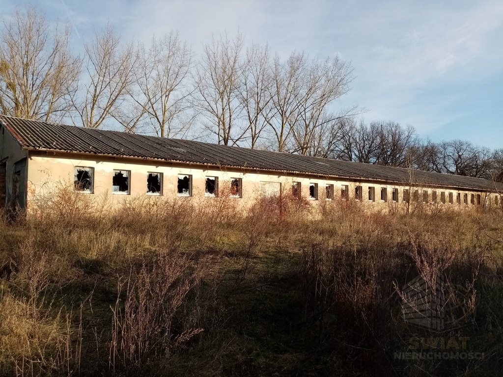 Działka inna na sprzedaż Kamieniec  3 296m2 Foto 3