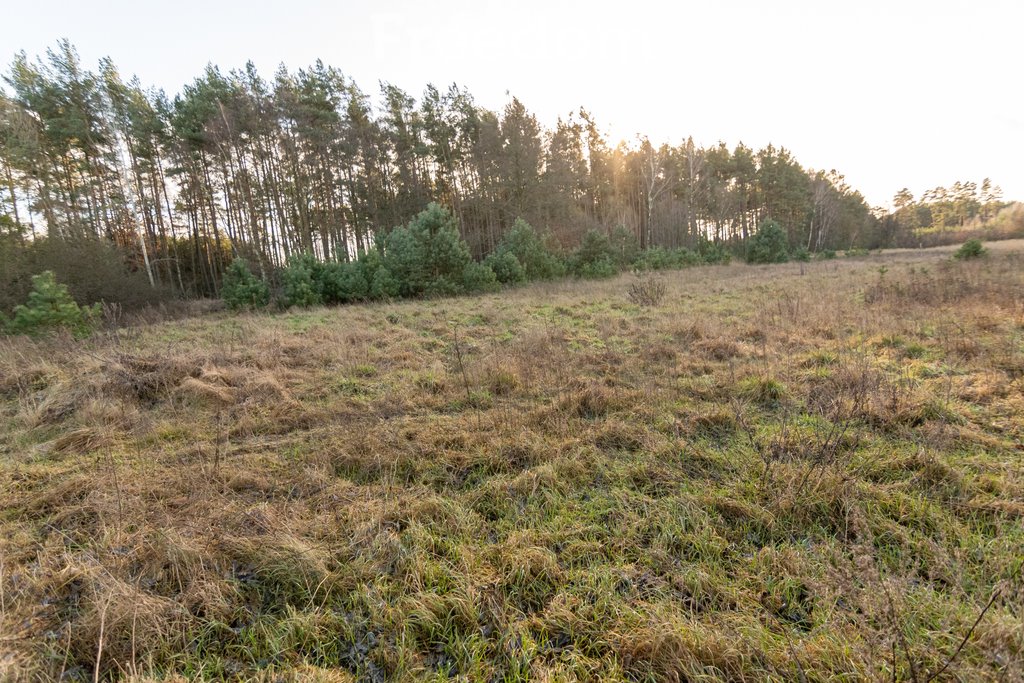 Działka budowlana na sprzedaż Kotuń  1 196m2 Foto 5