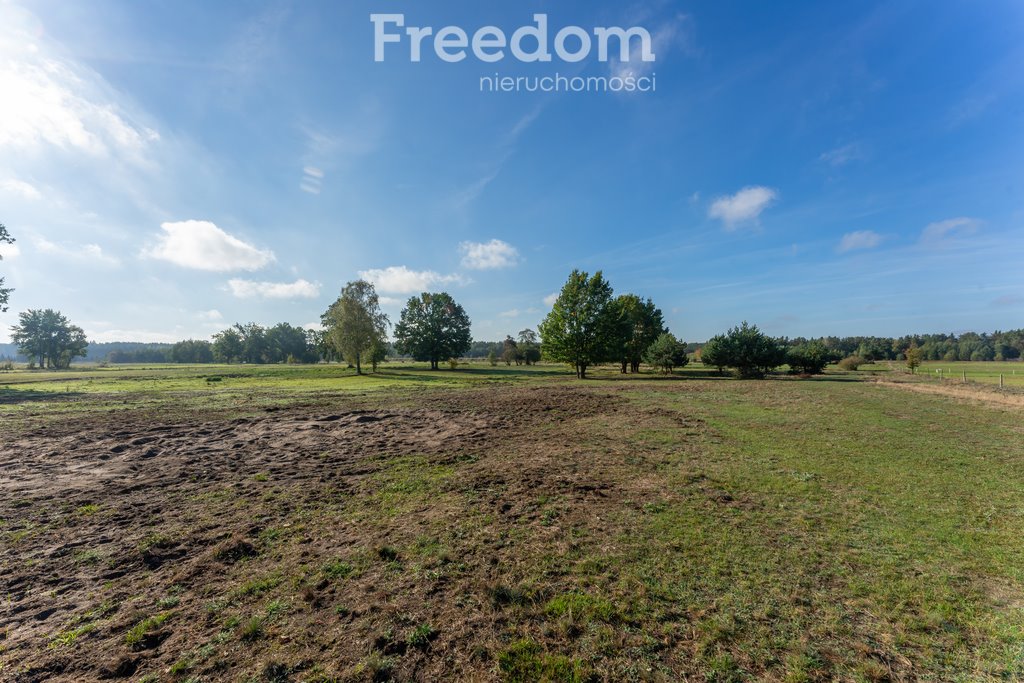 Działka budowlana na sprzedaż Borki, Błękitna  28 300m2 Foto 6