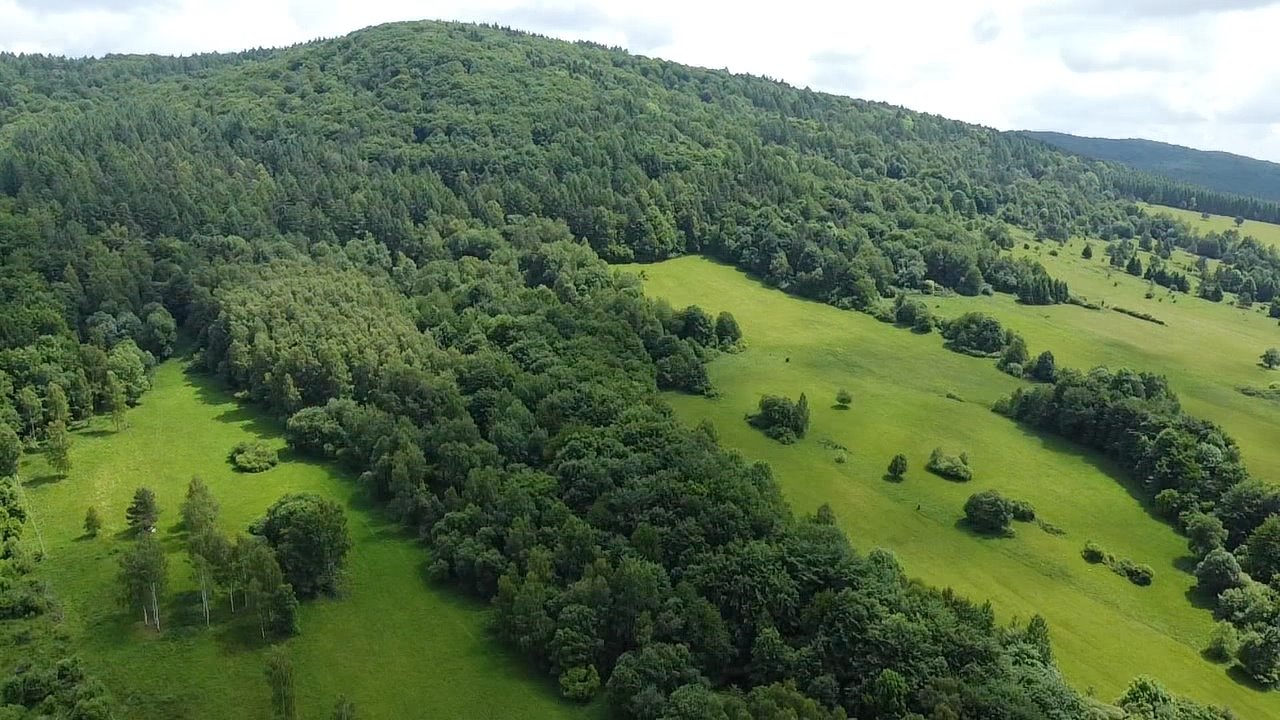 Działka budowlana na sprzedaż Wysowa-Zdrój  2 240m2 Foto 7