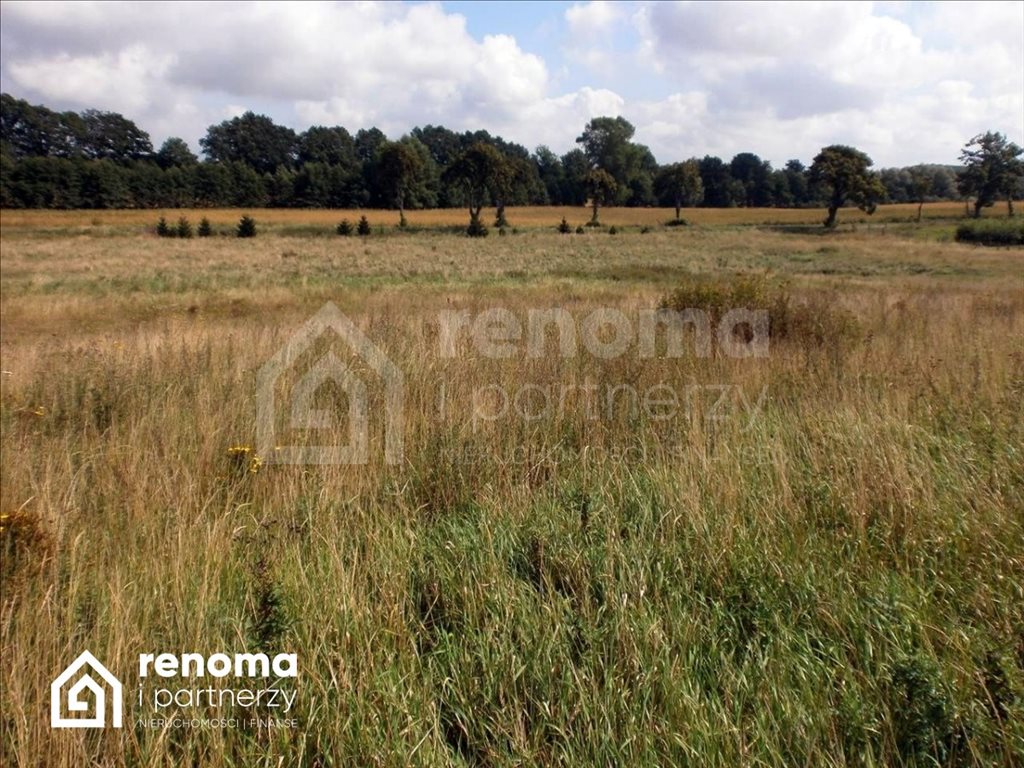 Działka gospodarstwo rolne na sprzedaż Ińsko  1 000 000m2 Foto 4