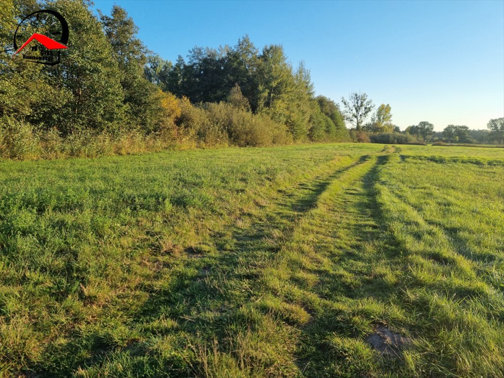 Działka gospodarstwo rolne na sprzedaż Smerzyn  3 000m2 Foto 4