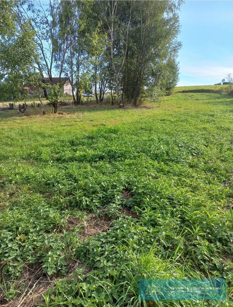 Działka budowlana na sprzedaż Glinik Średni  1 700m2 Foto 1