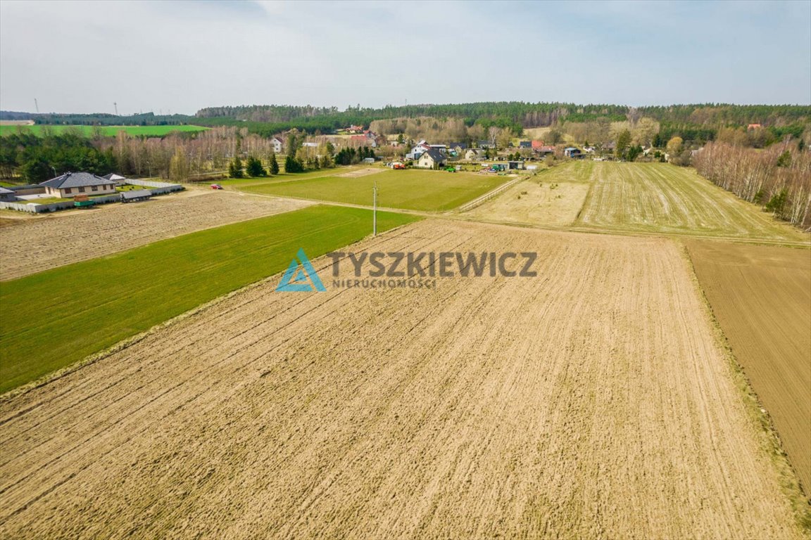 Działka rolna na sprzedaż Stara Dąbrowa  60 000m2 Foto 8