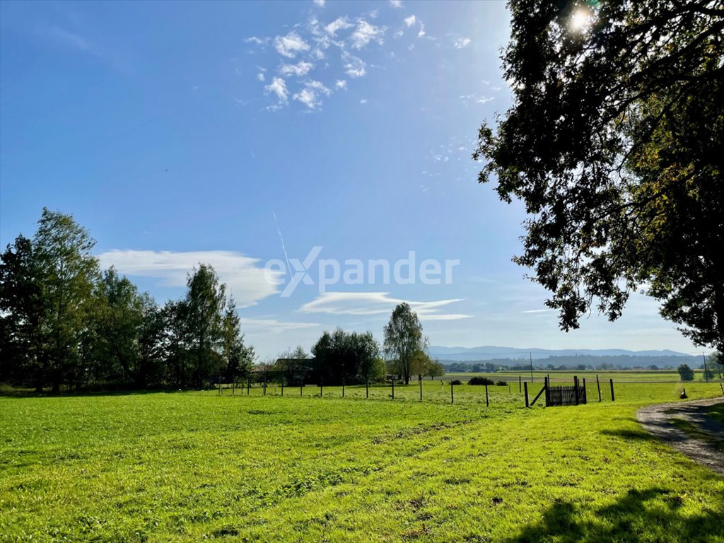 Działka inwestycyjna na sprzedaż Chybie, św. Huberta  20 487m2 Foto 4