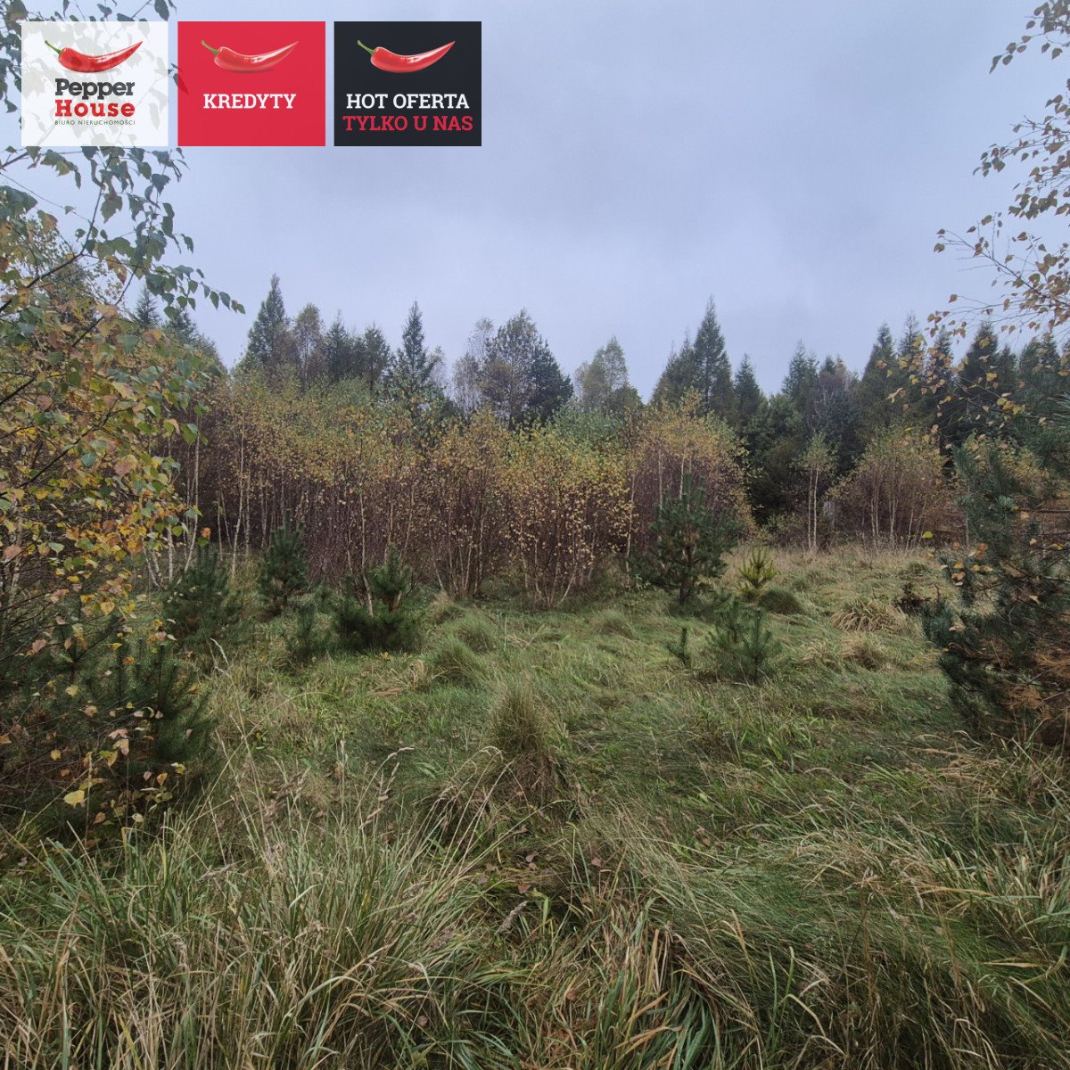 Działka budowlana na sprzedaż Domatówko, Sosnowa  785m2 Foto 1