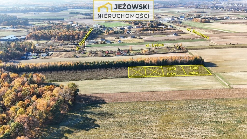 Działka budowlana na sprzedaż Urzędów  1 500m2 Foto 6