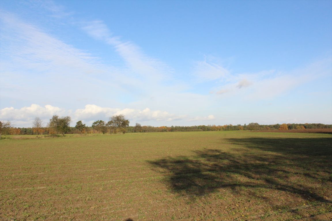 Działka budowlana na sprzedaż Mesze  1 000m2 Foto 6