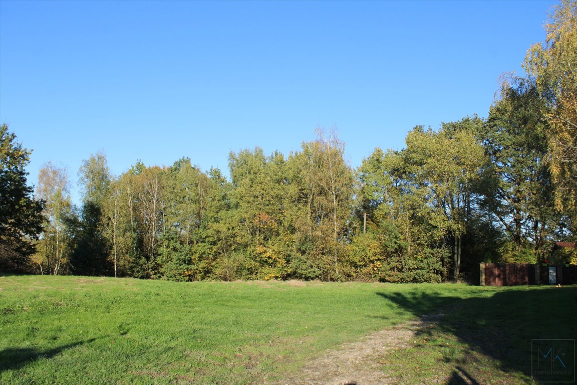 Działka budowlana na sprzedaż Kamionna  5 000m2 Foto 2