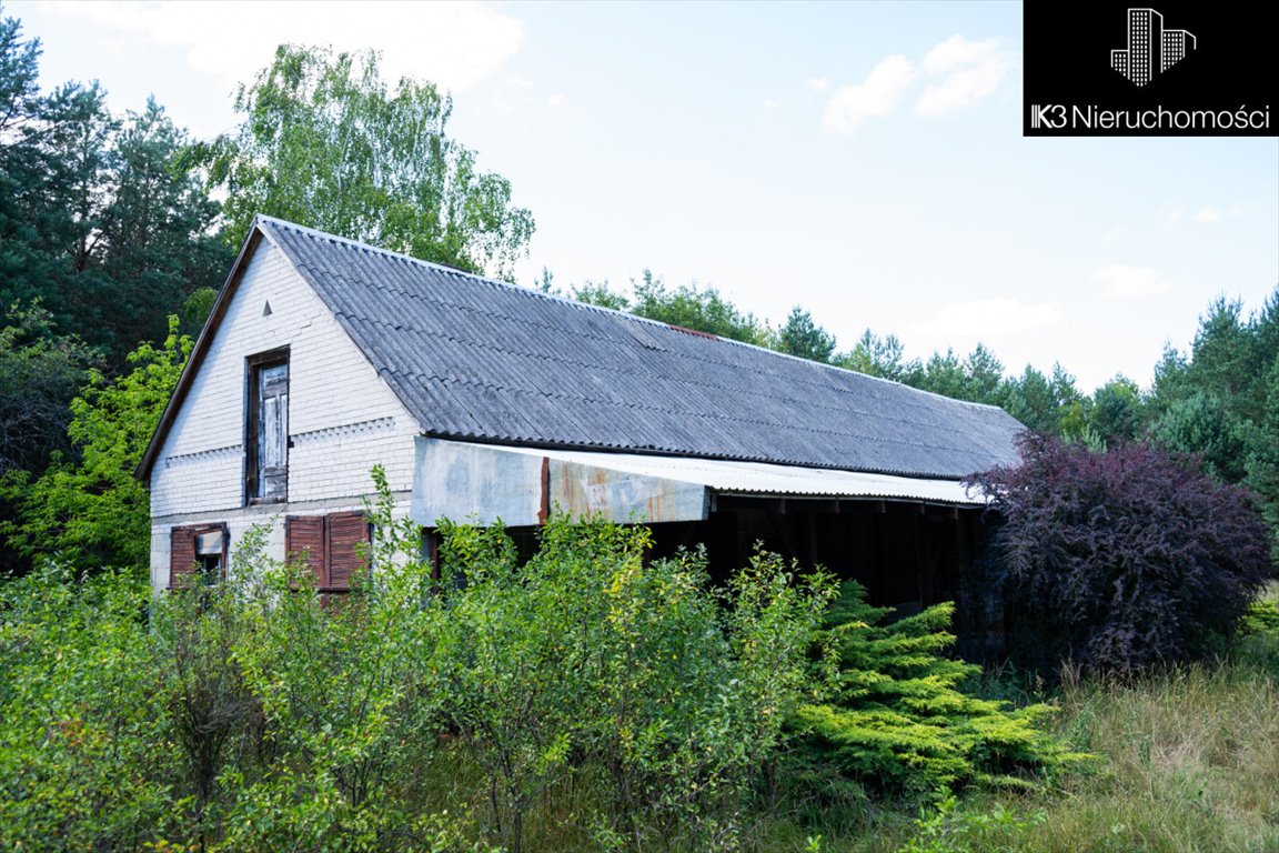 Działka budowlana na sprzedaż Orzełek  80 000m2 Foto 9