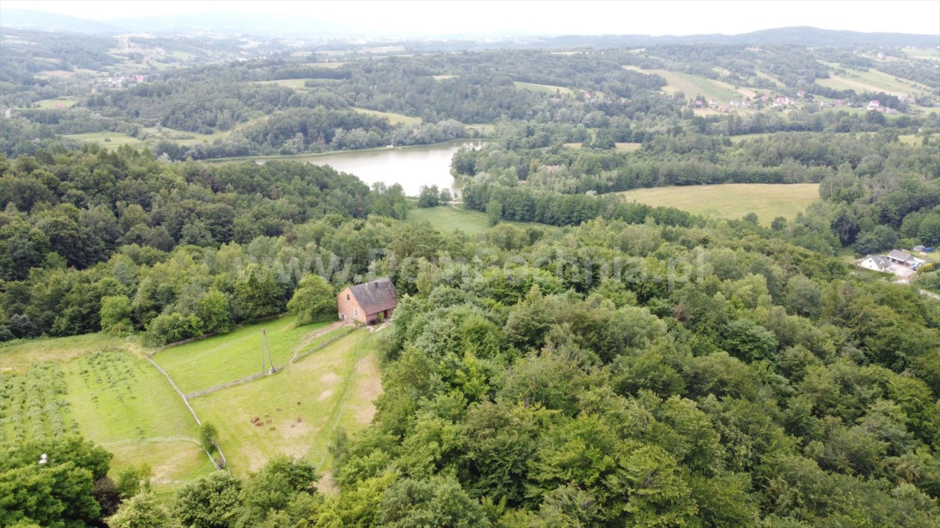 Działka budowlana na sprzedaż Nowy Wiśnicz  56 000m2 Foto 1