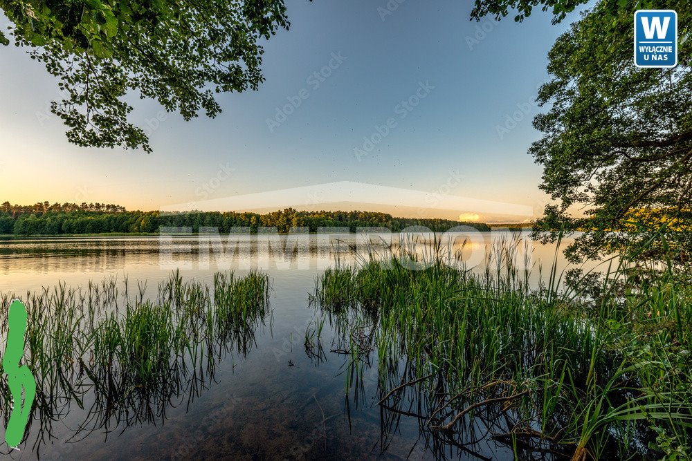 Działka budowlana na sprzedaż Biskupiec  3 700m2 Foto 3