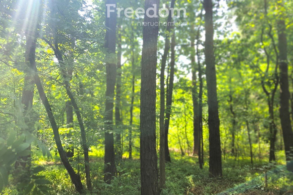 Działka inna na sprzedaż Turze Rogi  22 967m2 Foto 4