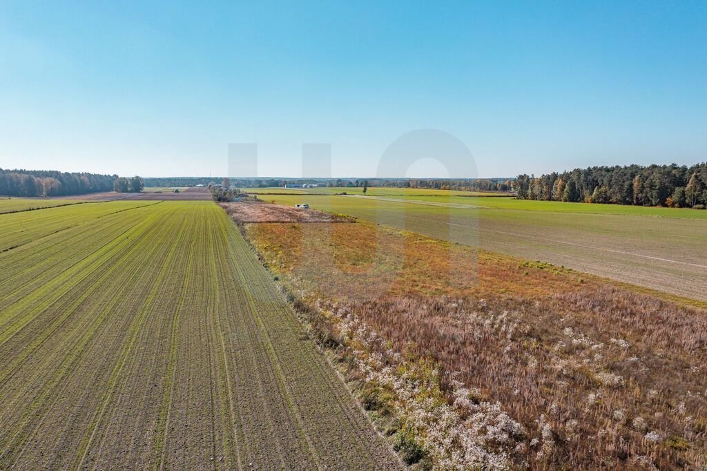 Działka budowlana na sprzedaż Krajęczyn  3 000m2 Foto 7