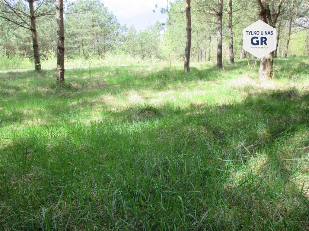 Działka przemysłowo-handlowa na sprzedaż Kłobuczyno 1 206m2 Foto 1 Działka przemysłowo-handlowa na sprzedaż Kłobuczyno 1 206m2 Foto 1