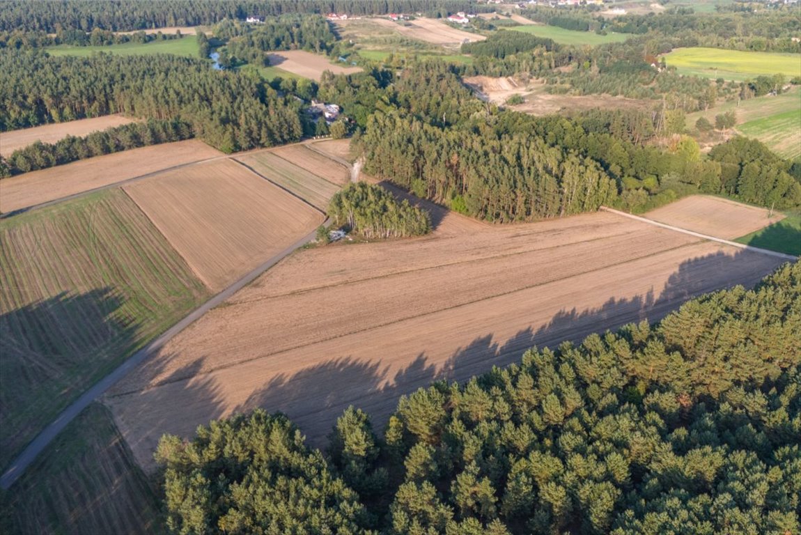 Działka rolna na sprzedaż Jesionka  6 800m2 Foto 5