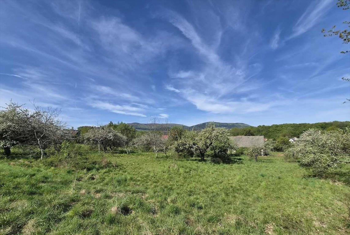 Do sprzedania działka 4700 m² z widokiem na góry w Wiśniowej Wiśniowa  4 700m2 Foto 1