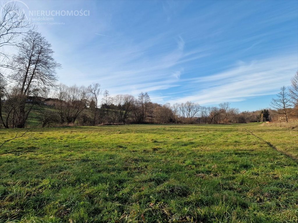 Działka budowlana na sprzedaż Sitnica  10 602m2 Foto 7