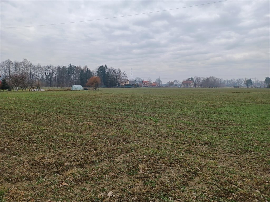 Działka budowlana na sprzedaż Ochaby Wielkie  15 747m2 Foto 5