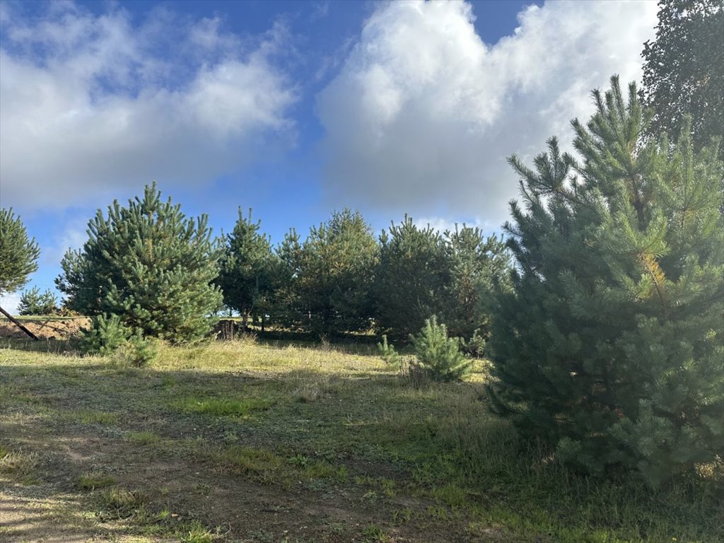 Działka budowlana na sprzedaż Leźno  996m2 Foto 1