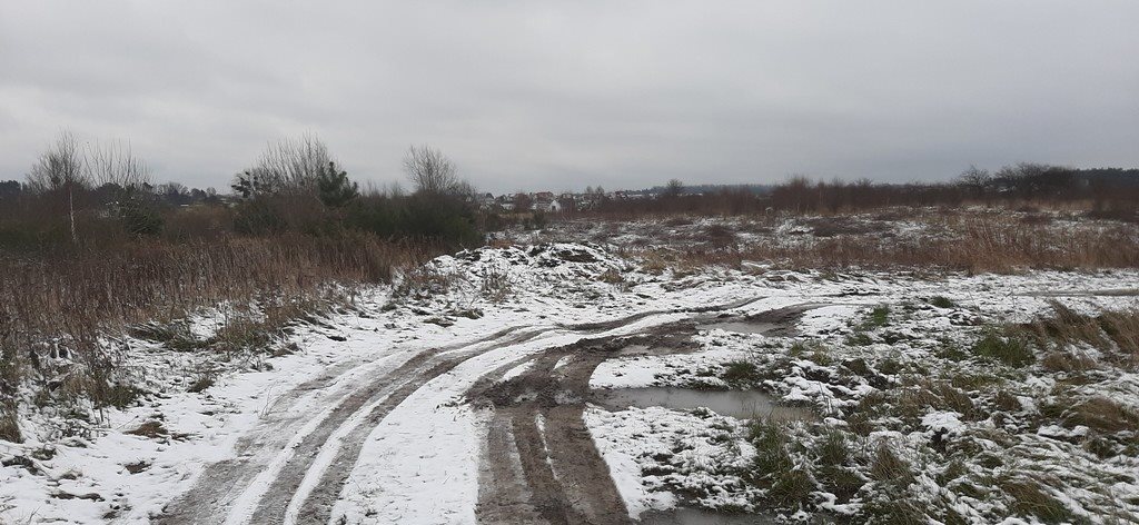 Działka inna na sprzedaż Dębogórze  10 040m2 Foto 4