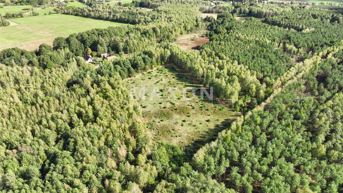 Działka budowlana na sprzedaż Sokule  3 000m2 Foto 18