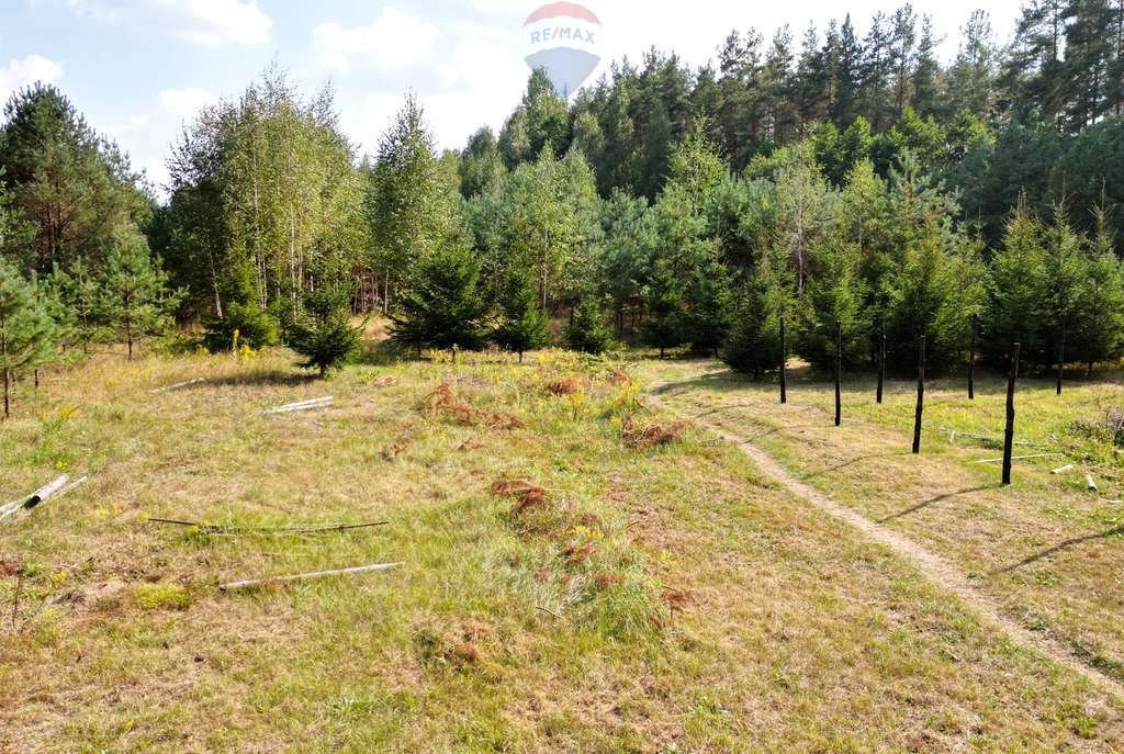 Działka budowlana na sprzedaż Gorczyca  4 700m2 Foto 4