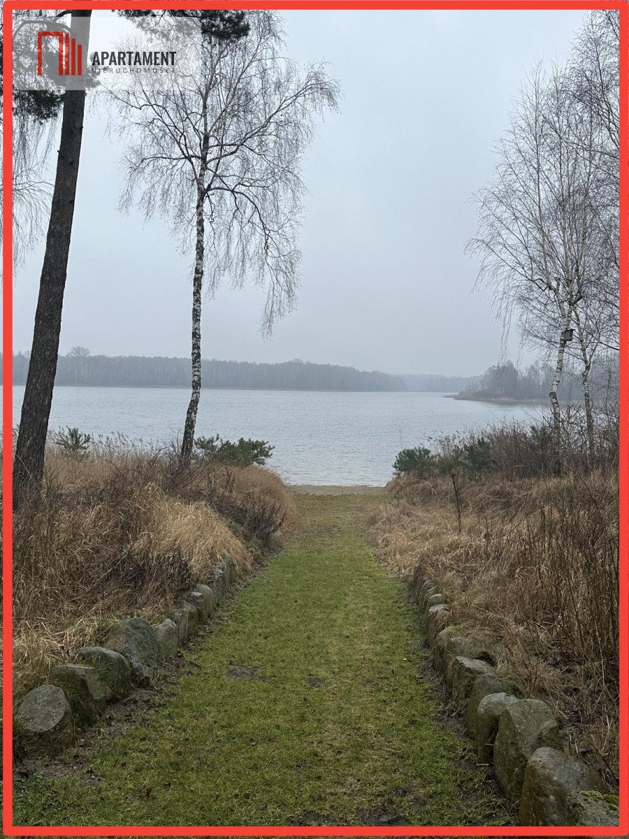 Działka gospodarstwo rolne na sprzedaż Głodowo  120 000m2 Foto 3