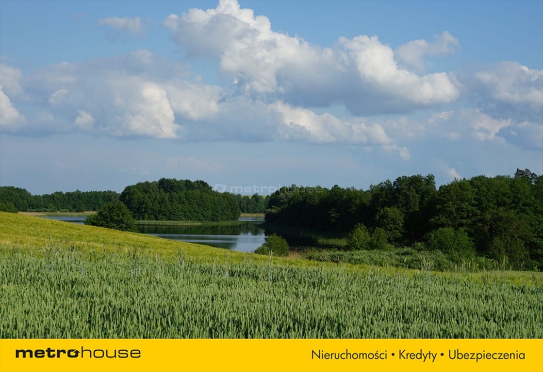 Działka rolna na sprzedaż Wielki Mędromierz  80 000m2 Foto 5