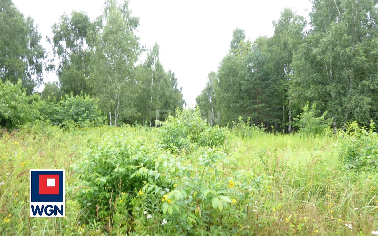 Działka budowlana na sprzedaż Stęszów, Stęszów  16 700m2 Foto 6