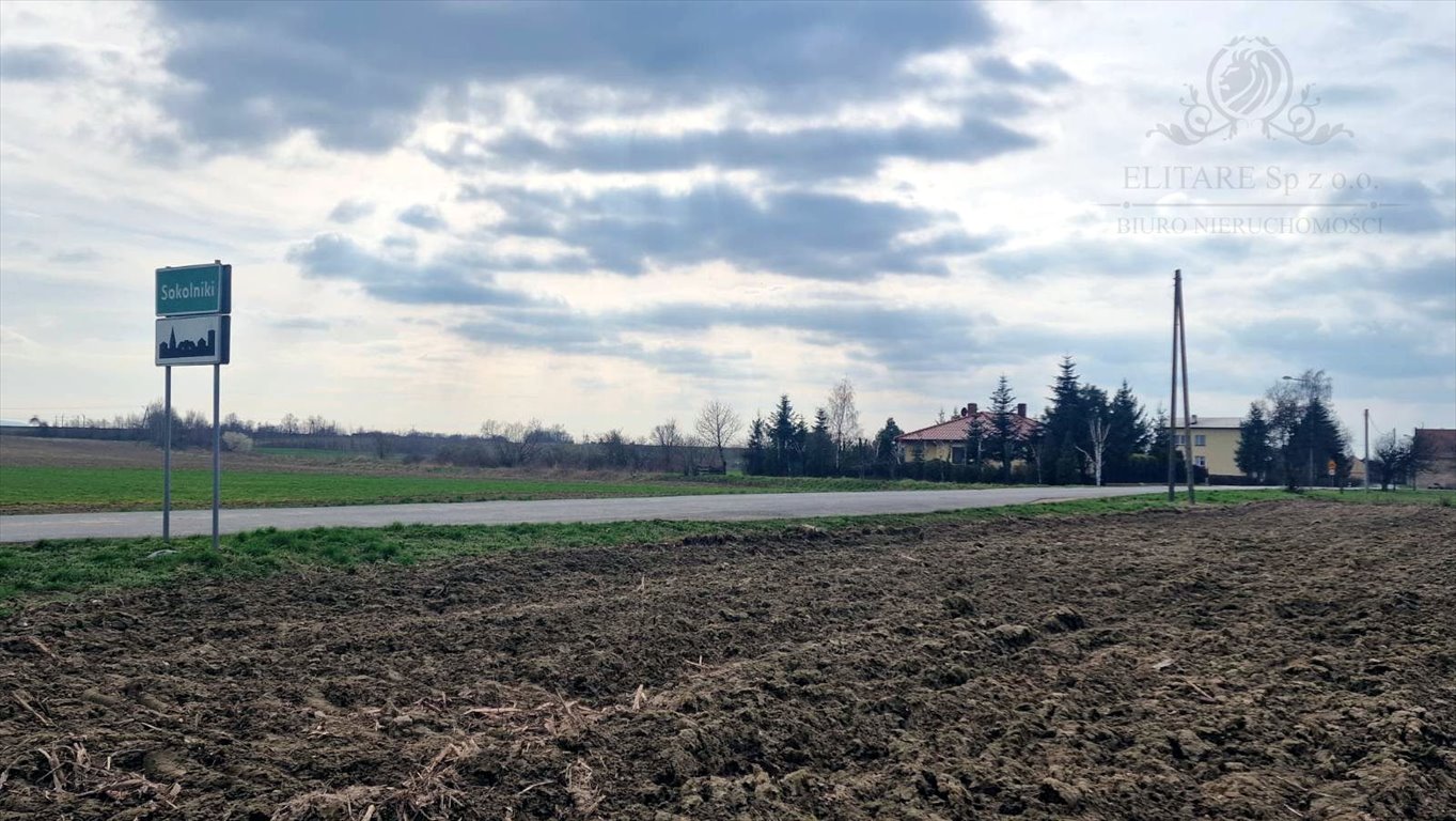 Działka budowlana na sprzedaż Sokolniki, Sokolniki  3 000m2 Foto 1