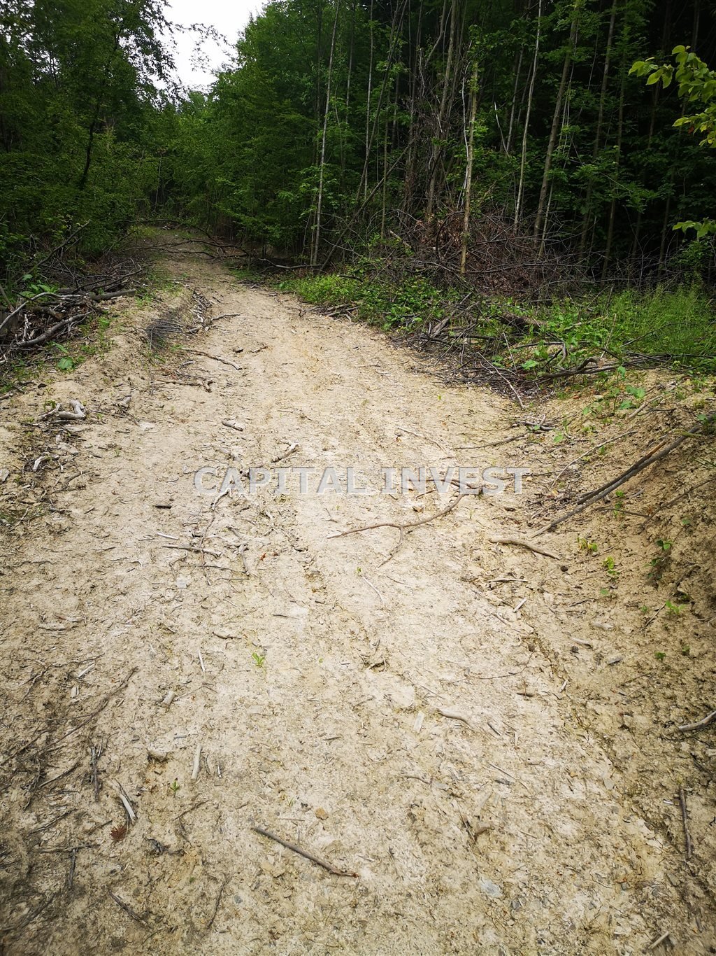 Działka inna na sprzedaż Zagórnik  7 300m2 Foto 6