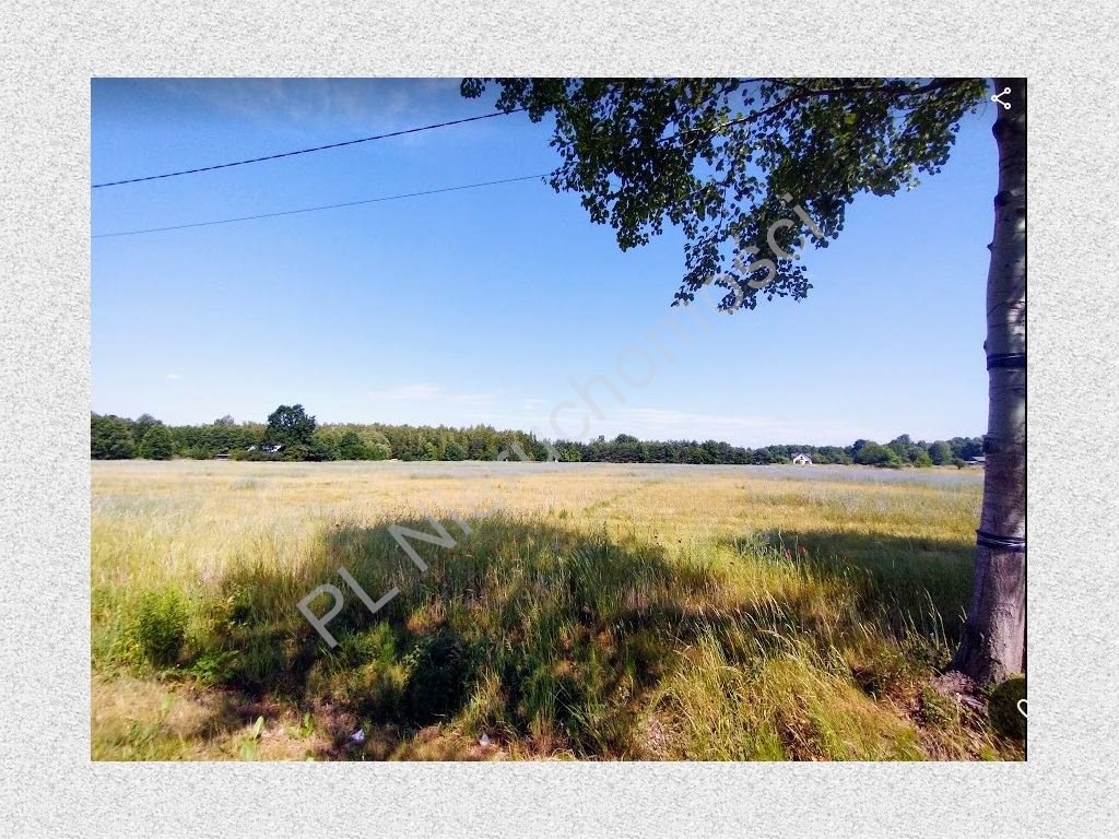 Działka budowlana na sprzedaż Budy Zosine  1 600m2 Foto 2