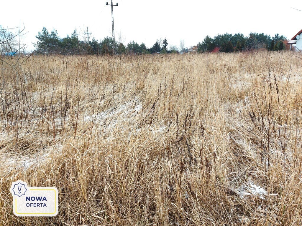 Działka budowlana na sprzedaż Chrzanów Mały  1 731m2 Foto 1