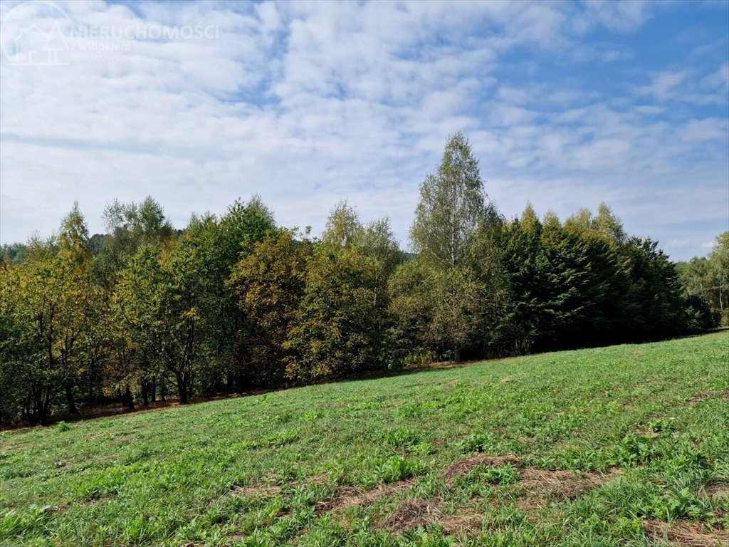 Działka budowlana na sprzedaż Tuchów  4 632m2 Foto 10